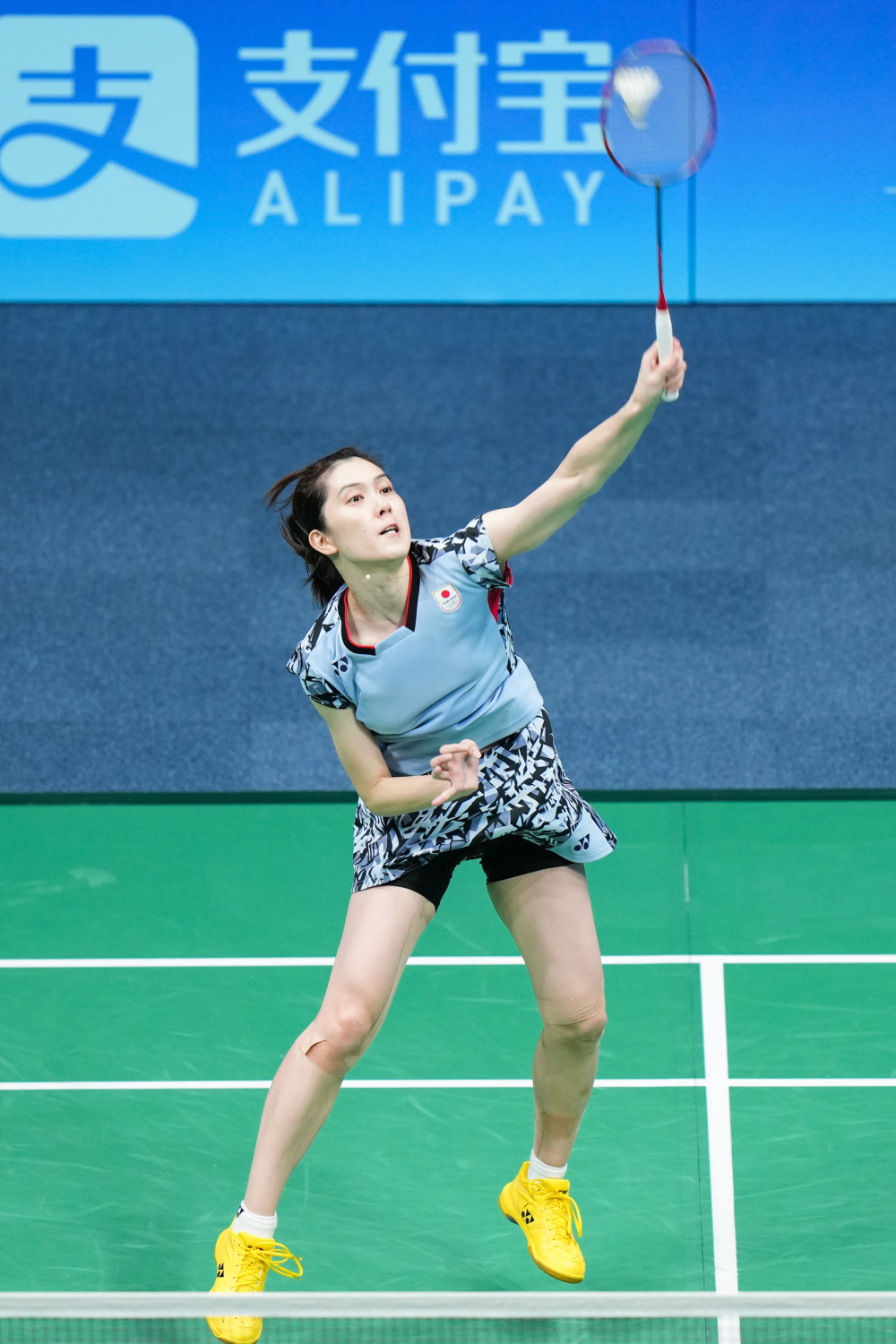 如果澳大利 如果澳大利